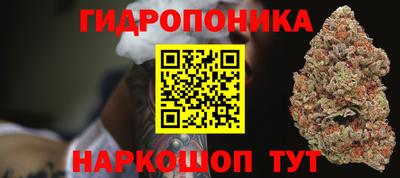 ГАЛЛЮЦИНОГЕННЫЕ ГРИБЫ Пугачёв
