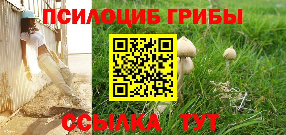 Пугачёв  наркота  Вход с VPN  Псилоцибиновые грибы GOLDEN TEACHER 