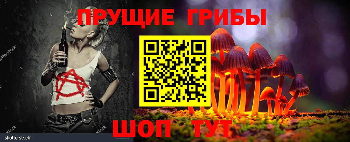 Псилоцибиновые грибы Psilocybe Пугачёв